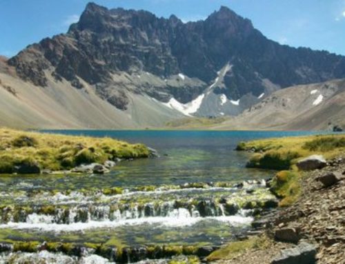 Crece desacuerdo frente a proyecto Ley de Declaración de Impacto Ambiental de la exploración Cerro Amarillo en Mendoza ARGENTINA