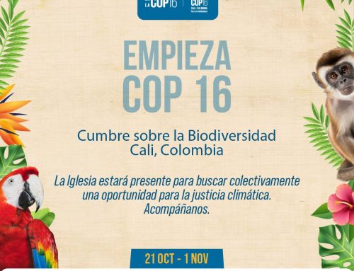 COP16:  Los esfuerzos por la preservación de la diversidad biológica no pueden ser indiferentes al reconocimiento de los territorios indígenas y sus procesos de autodeterminación