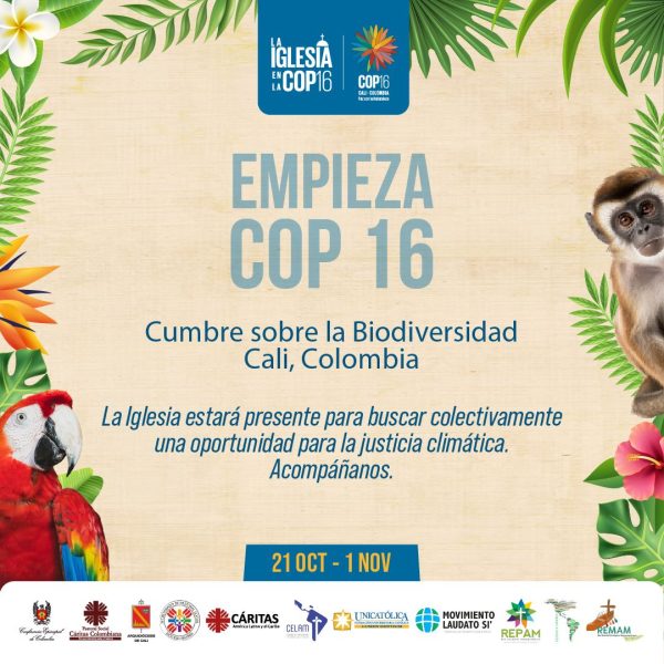 COP16: Los Esfuerzos Por La Preservación De La Diversidad Biológica No ...