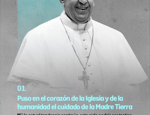 A 10 años de la Laudato SI: ¿Llegamos al colapso? 10 claves para seguir caminando